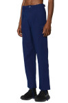 Adidas Blue version cargo pants