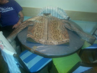 Muska jakna od zmijske koze XXL br 54