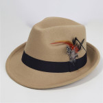 1 kom  formalni šešir za vjenčanje, simulacija perja