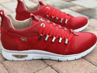 Paciotti MUŠKE Muške Kožne Tenisice NOVA KOLEKCIJA