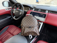 Kožna torba ruksak, ženska i muška Louis Vuitton 84035