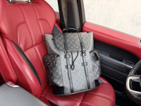 Kožna torba ruksak, ženska i muška Louis Vuitton 84058