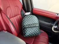 Kožna torba ruksak, ženska i muška Louis Vuitton 84078