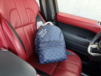 Kožna torba ruksak, ženska i muška Louis Vuitton 84104