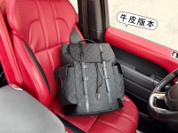 Kožna torba ruksak, ženska i muška Louis Vuitton 84114