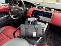 Ženska torba torbica Louis Vuitton koža