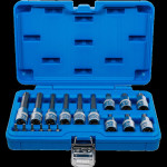 Set TORX bit nastavaka 1/4" i 1/2", T10 - T60, 18 kom