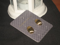 NOVE  "ZLATNE " NAUŠNICE