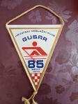 Hrvatski veslački klub Gusar, zastavica