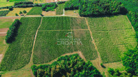 PRILIKA! 105.333 m2 VINOGRADA, 4.75 EUR/m2!