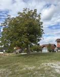 NOVO: 2 GRAĐEVINSKA ZEMLJIŠTA, KLOŠTAR IVANIĆ, 711 i 737 m2