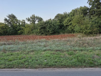 3 nekretnine na ulazu u Šegotiće, 3500 m od mora
