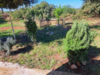 Medulin.  Parc.75o,+ 606m2