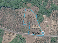 7.000 m² blizu Tribunja: 100 maslina, mobilna kućica, voda i struja