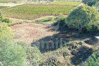 ATRAKTIVNO GRAĐEVINSKO ZEMLJIŠTE SA POGLEDOM NA VINOGRADE