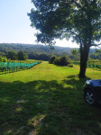 Atraktivno vikend zemljište za vinograd ili voćnjak, 1104 m2