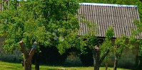 AUTENTIČNA KAMENA KUĆA IZ 1935. GODINE NA 5.079 m² ZEMLJIŠTA – DOLJANI