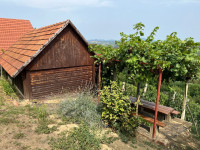 Autohtona zagorska klet sa održavanim vinogradom i vočnjakom
