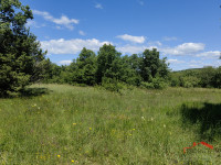 Bale-Krmed, poljoprivredno zemljište uz asfalt