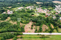 Barban, Rojnići - prekrasno pravokutno građevinsko zemljište 693 m2