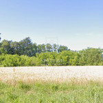 BARBAN, GRAĐEVINSKI TEREN