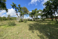 Barban, Manjadvorci, građevinsko zemljište s projektom i započetom gra