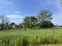 Barban okolica, Građevinska parcela 1826m2