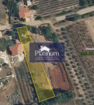 BARBAN, PREKRASNO GRAĐEVINSKO ZEMLJIŠTE 1300m2 HITNO