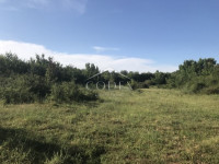 Barban - prodaja građevinskog zemljišta, 970 m2