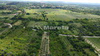 Benkovac - maslinik i vočnjak 4100 m2