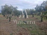 BIOGRAD NA MORU - GRAĐEVINSKO ZEMLJIŠTE, P = 642 M2