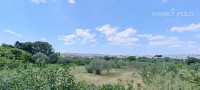 BIOGRAD N/M - GRAĐEVINSKO ZEMLJIŠTE 953 m2