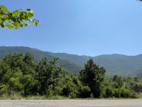 BISER LIKE BAŠKE OŠTARIJE ZEMLJIŠTE 3000M2  PRILIKA !!!