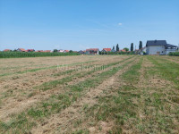 Bjelovar, Hrgovljani, zemljište od 7027 m2