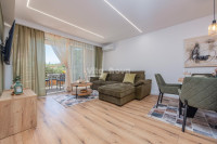 BORIK, 2-SOBAN, DUGOROČNO!