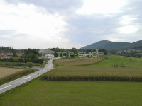 Bosiljevo, građevinski teren, odlična prilika za investitore, 15462 m2