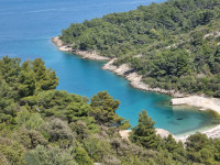 BRAČ - uvala Dučac - poljoprivredno zemljište 12.053 m2