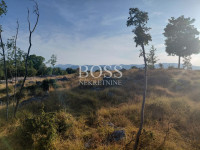 Breza, građevinsko zemljište , 2536 m2