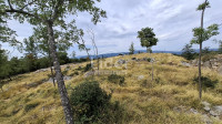 BREZA-građevinsko zemljište 2536 m2