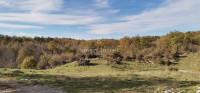 BREZA - KLANA, građevinsko zemljište od 11797 m2