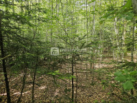 Bribir, 9.758m2, građevinsko zemljište