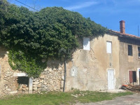 BRIBIR - kuća starina s okućnicom