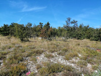 BRIBIR, poljoprivredno zemljište, 11870 m2