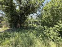 Bribir, zemljište od 1.535m2