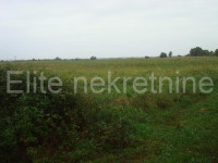 Brtonigla - prodaja parceliranih zemljišta, 6.064 m2