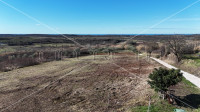 Buje, Buje, 1.036,00 m2, 227.920,00 EUR
