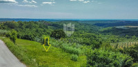 Buje, zemljite sa građevinskom dozvolom i panoramskim pogledom na more