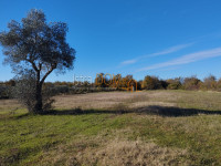 * BUTKOVIĆI – POLJOPRIVREDNO ZEMLJIŠTE 5.864 M² *