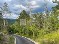 Istra Buzet okolica atraktivno građevinsko zemljište!