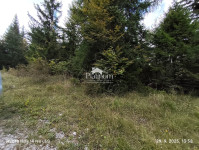 Čabar,Tršće građevinsko zemljište okruženo zelenilom